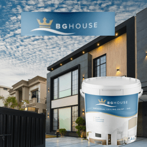 BG House Paint