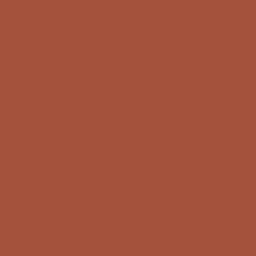 roof-paint-colour-terracotta